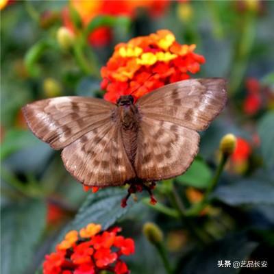 九州风云决内购破解版下载